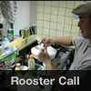 Rooster Call