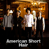 American Short Hair