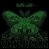 BUGS LIFE